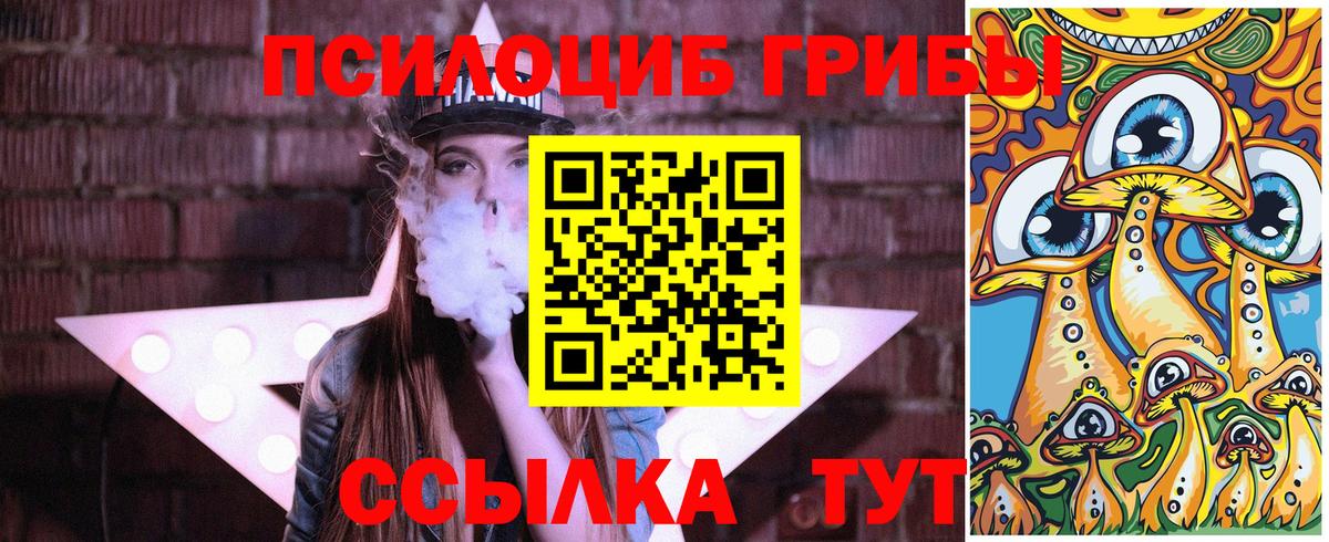 Псилоцибиновые грибы Psilocybine cubensis Каменск-Шахтинский